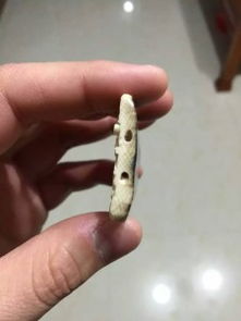 珠海斗门猛犸象牙工艺品 珠宝首饰与自然艺术的完美融合